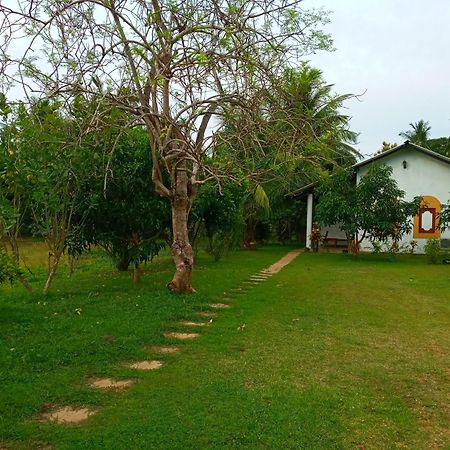 Hideaway Homestay Habarana Exterior foto